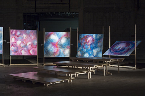 The Journey Of Magenta, 2017
