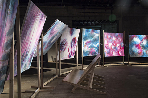 The Journey Of Magenta, 2017