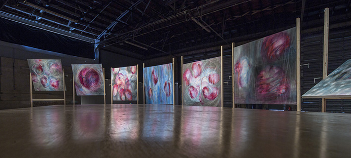 The Journey Of Magenta, 2017